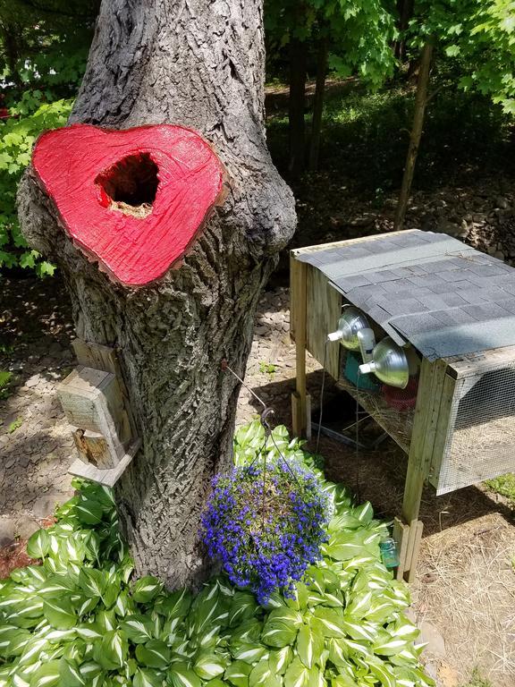 Kountry Living Bed And Breakfast Oneonta Esterno foto